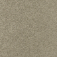 Lederlook Nube Taupe