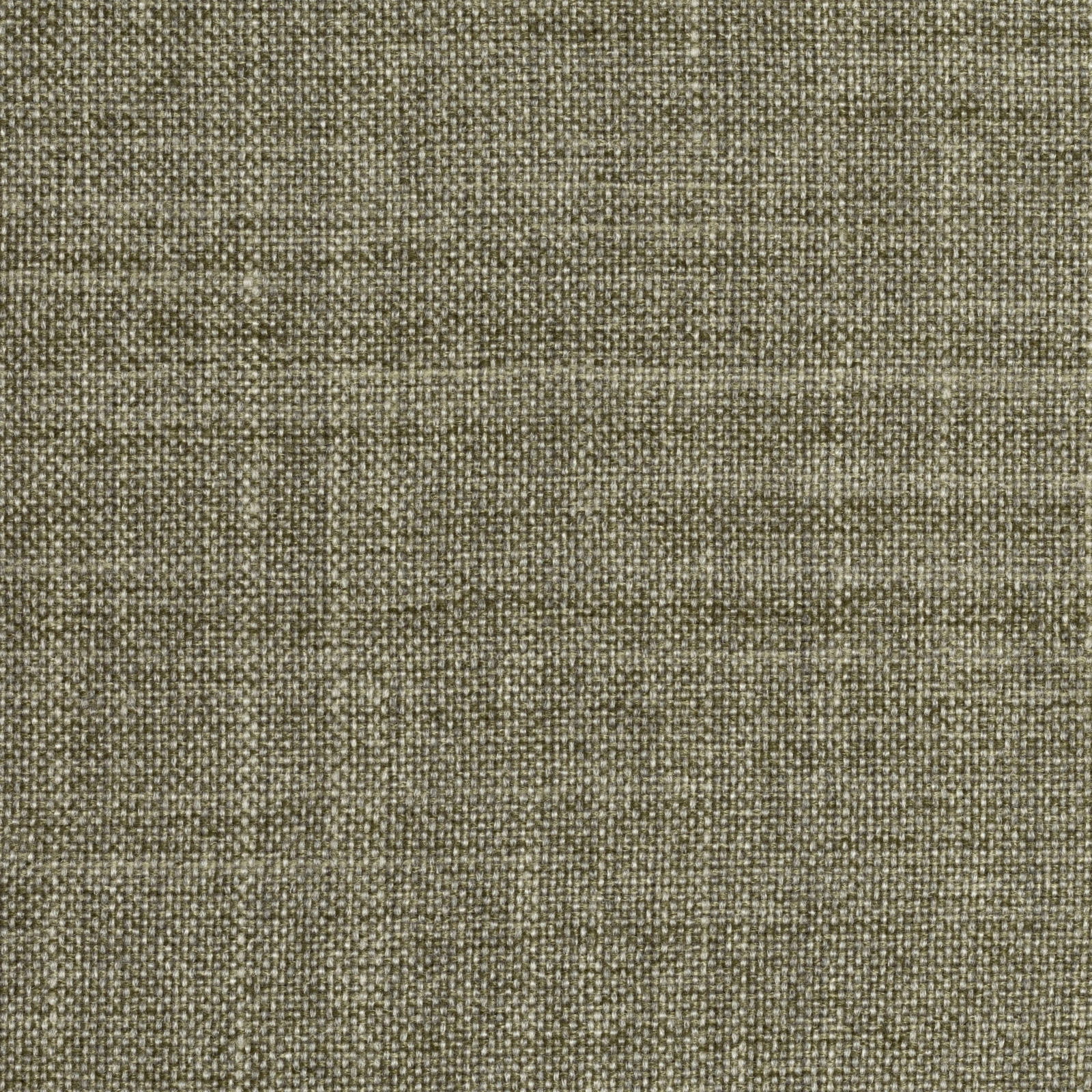 Fjord Sage