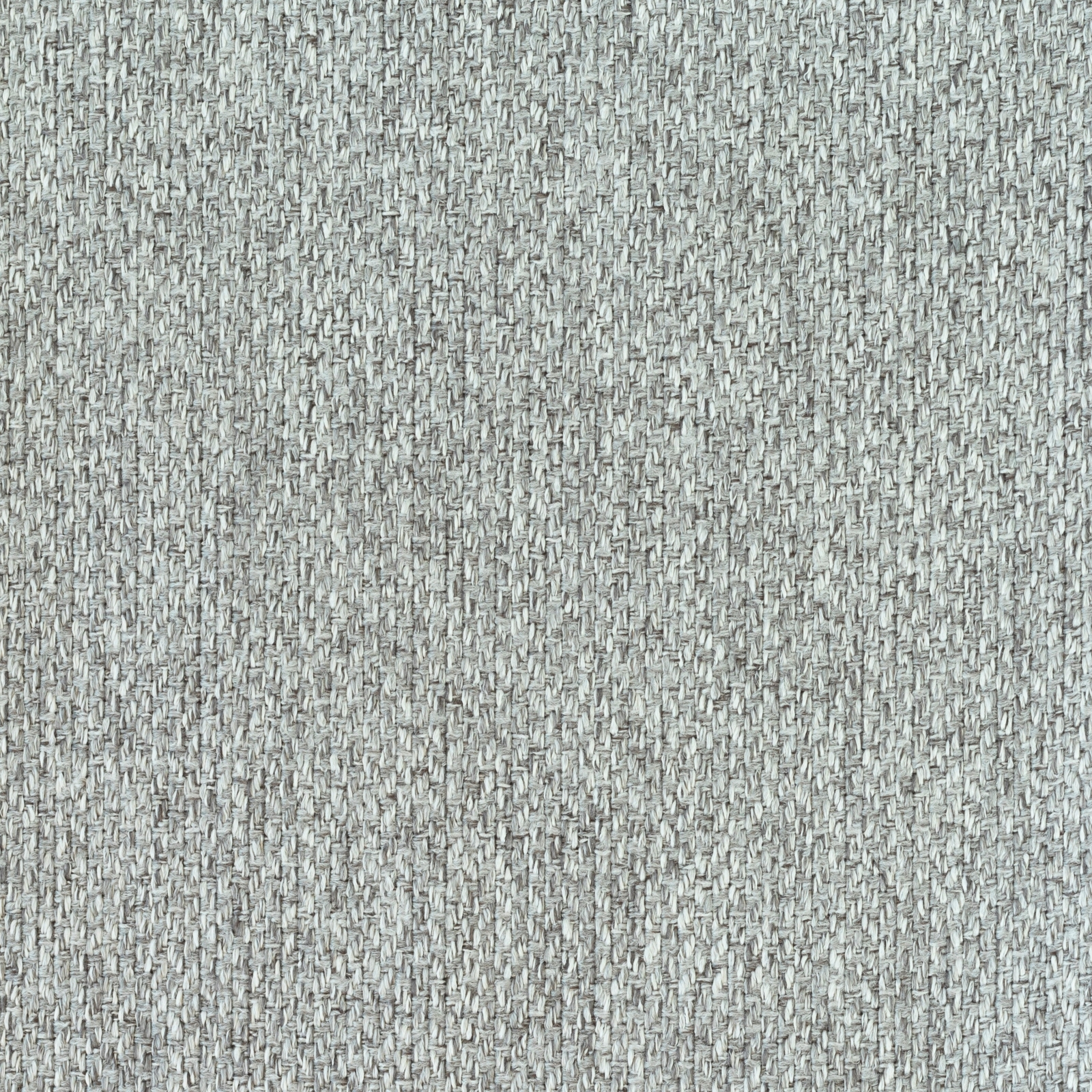 Scene Ash Grey