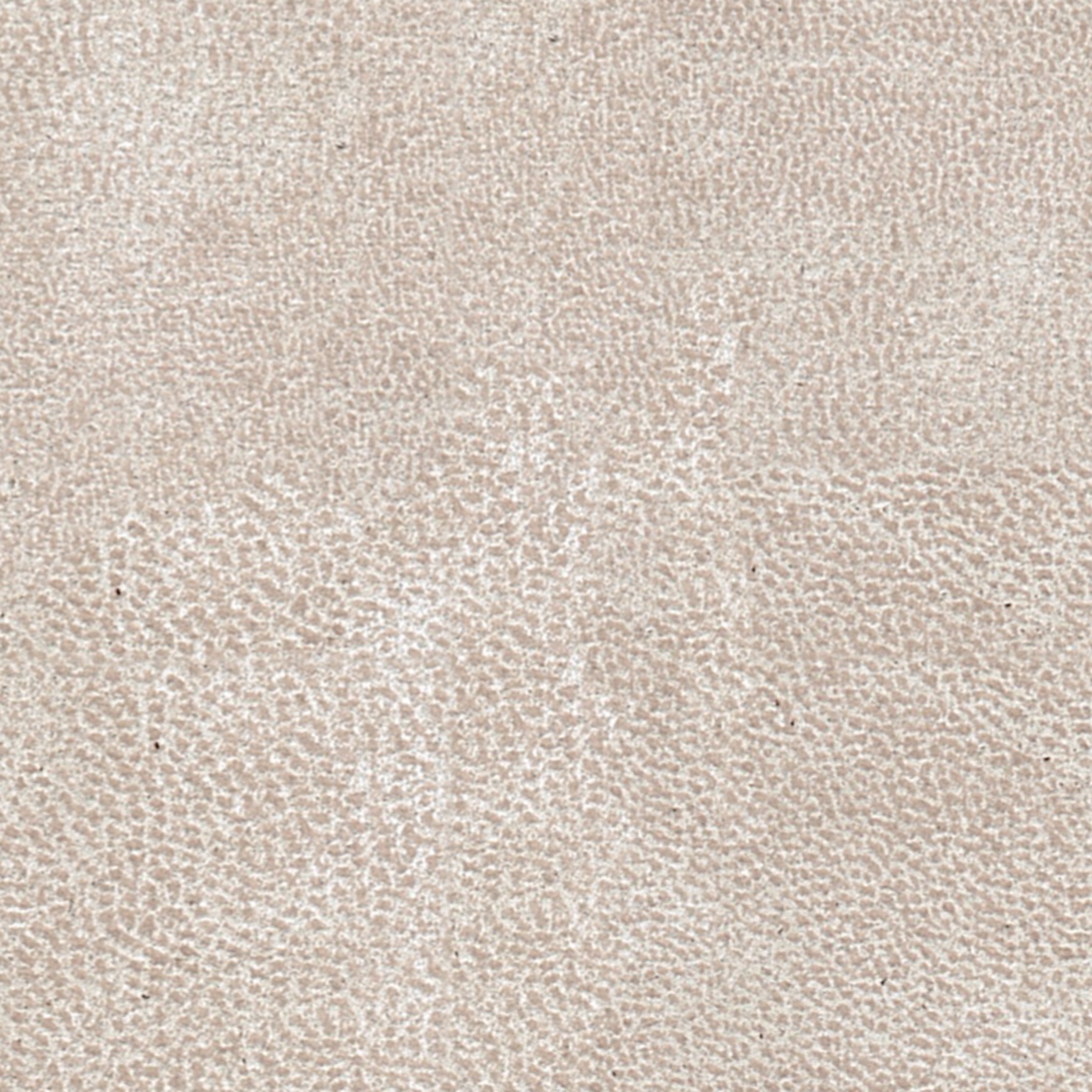 Categorie Lederlook TTF BULL Beige