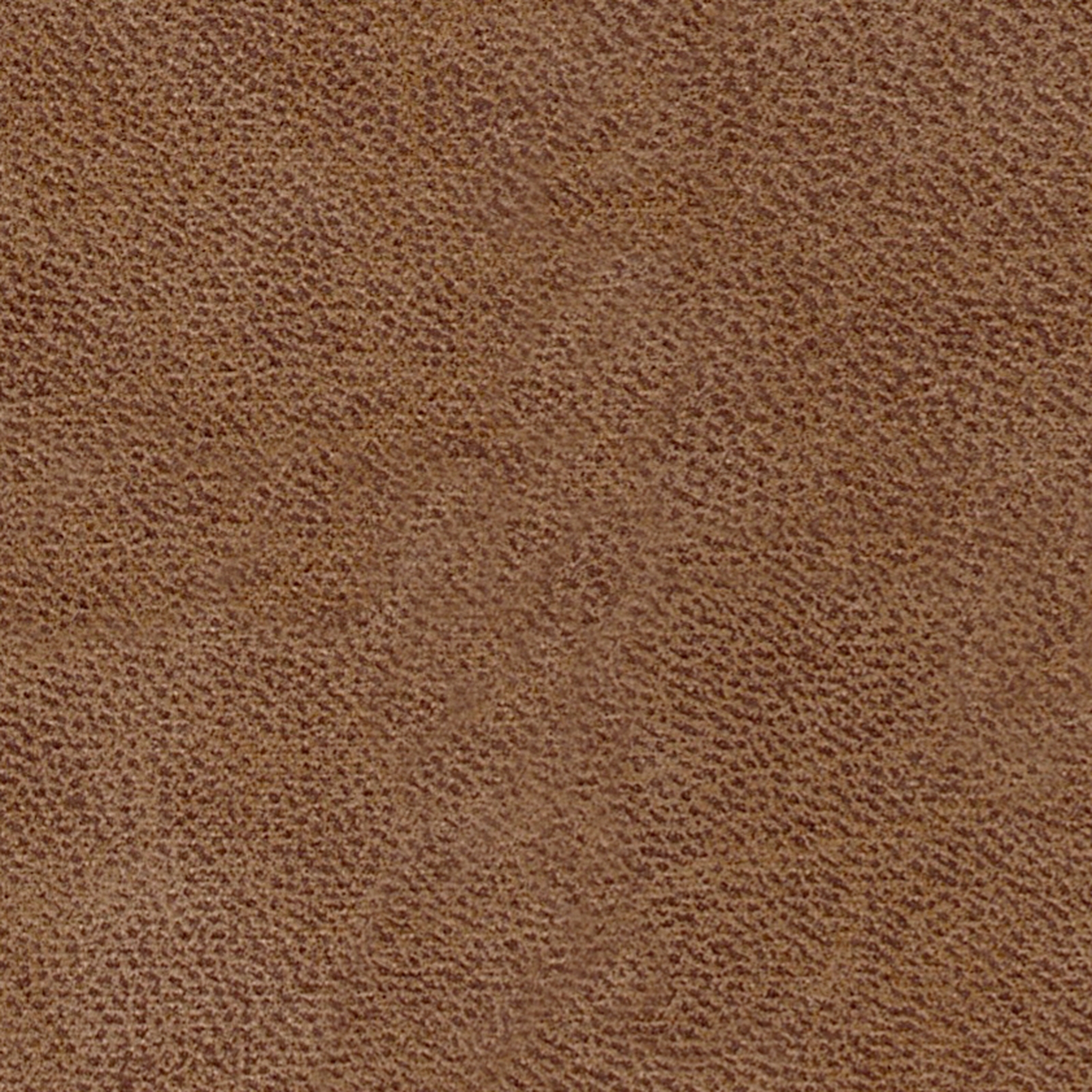 Categorie Lederlook TTF BULL Camel