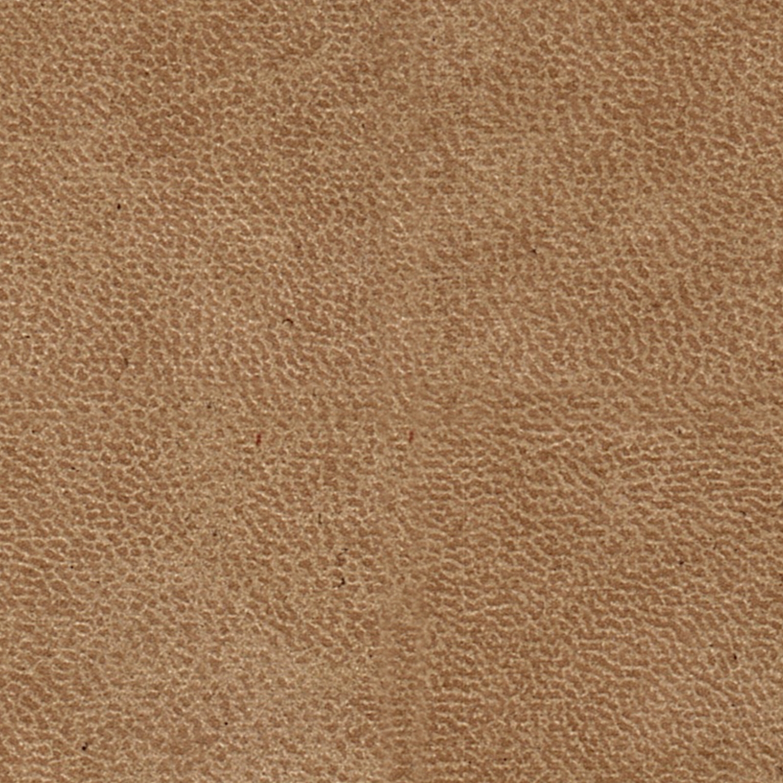Categorie Lederlook TTF BULL Desert