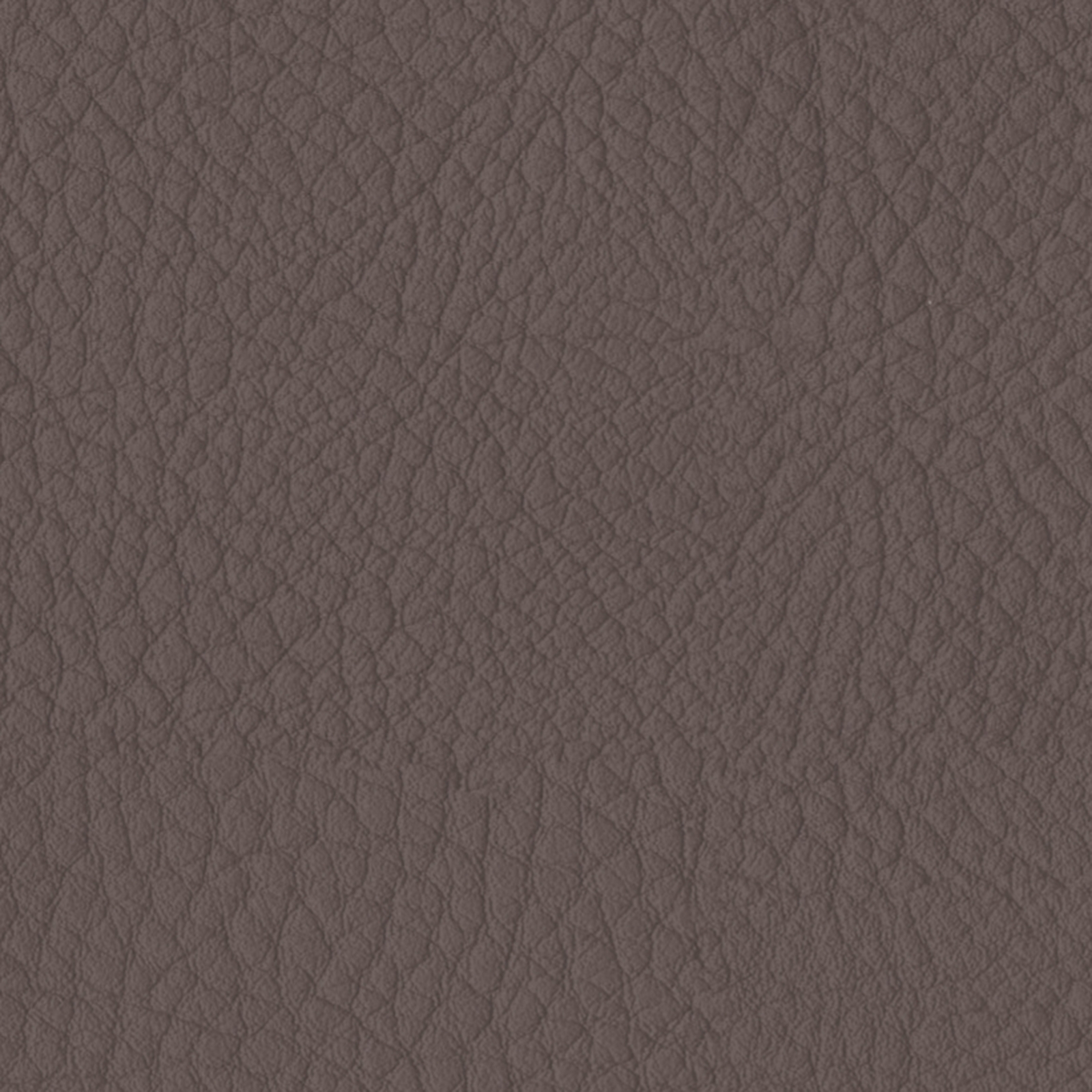 Categorie Lederlook TTF CRUSH Taupe 12