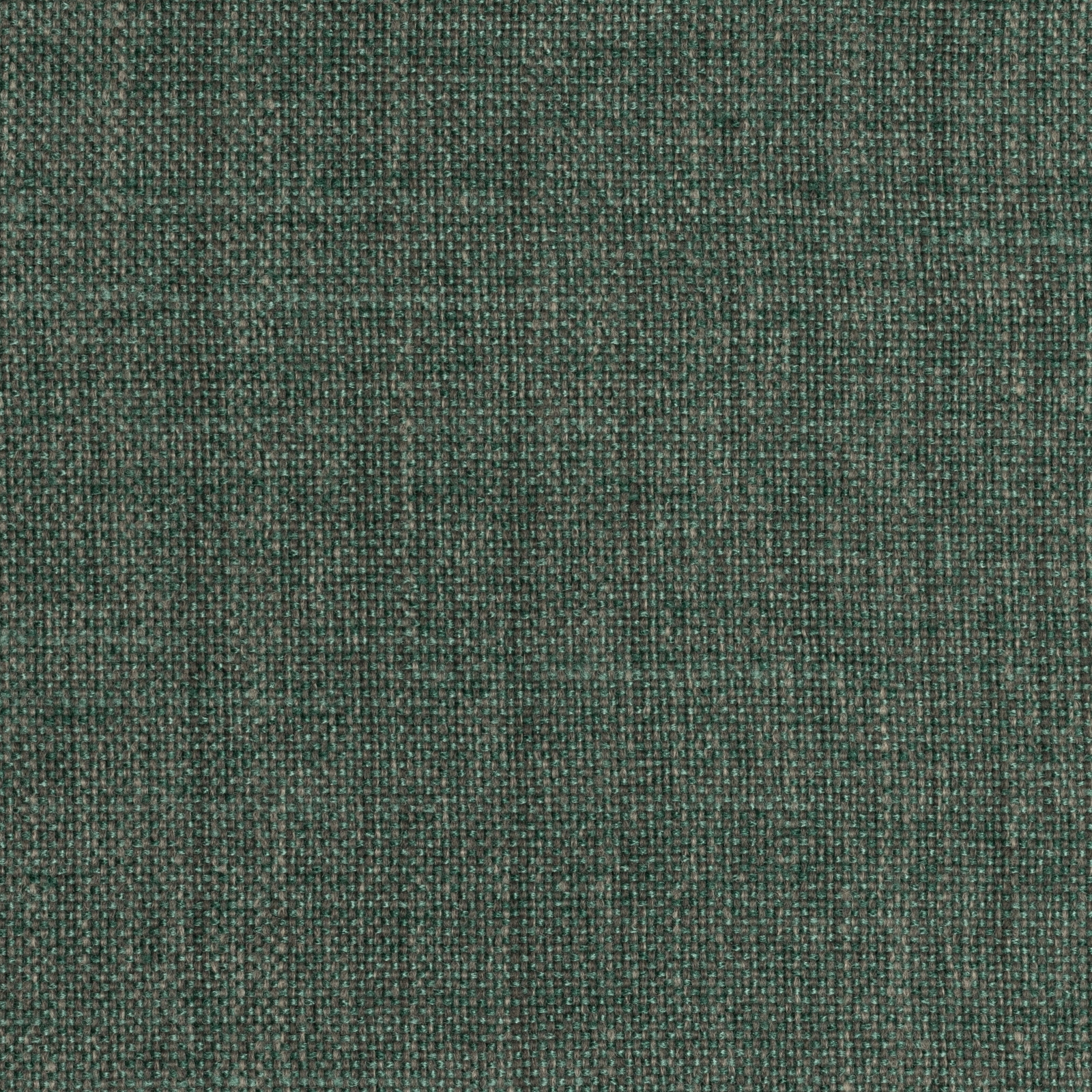 Fjord Teal