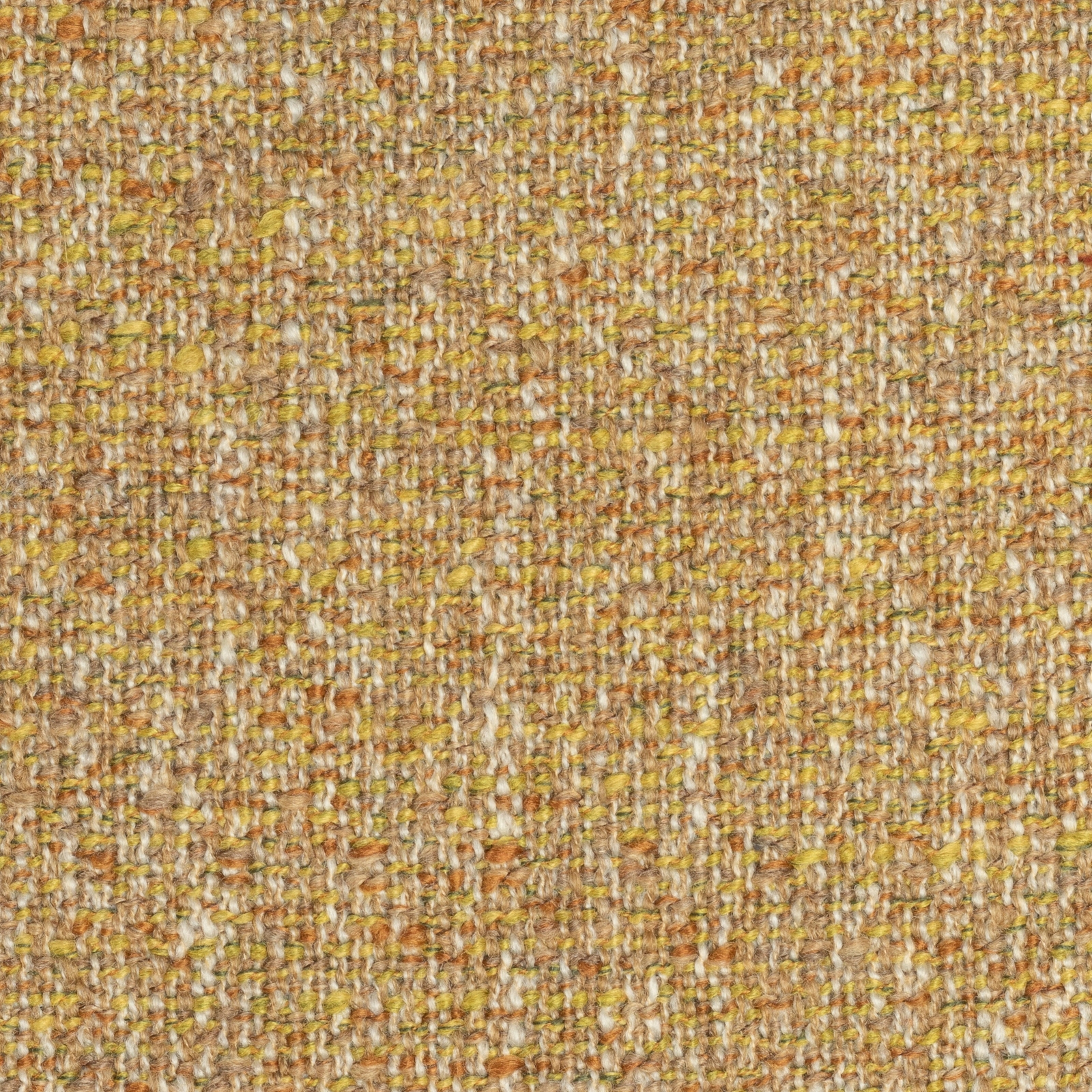 Oasis Mustard